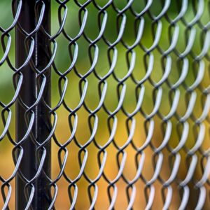 Photo of vinyl coated chain link fence in Minnesota