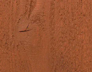 Semi-Solid Latex Sierra 5 Gallon Only