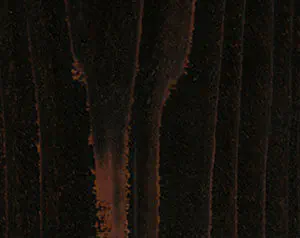 Wood Fence Stain - Transparent Fence Black Walnut for Minneapolis, Minnesota fences