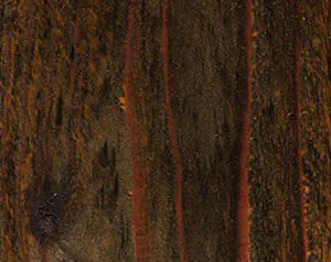 Transparent Fence Chestnut