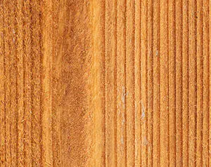 Transparent Fence Clear Glow