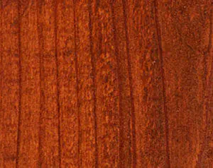 Transparent Fence Redwood