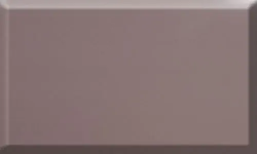 Ash Gray Vinyl Fence Company in Minneapolis Minnesota